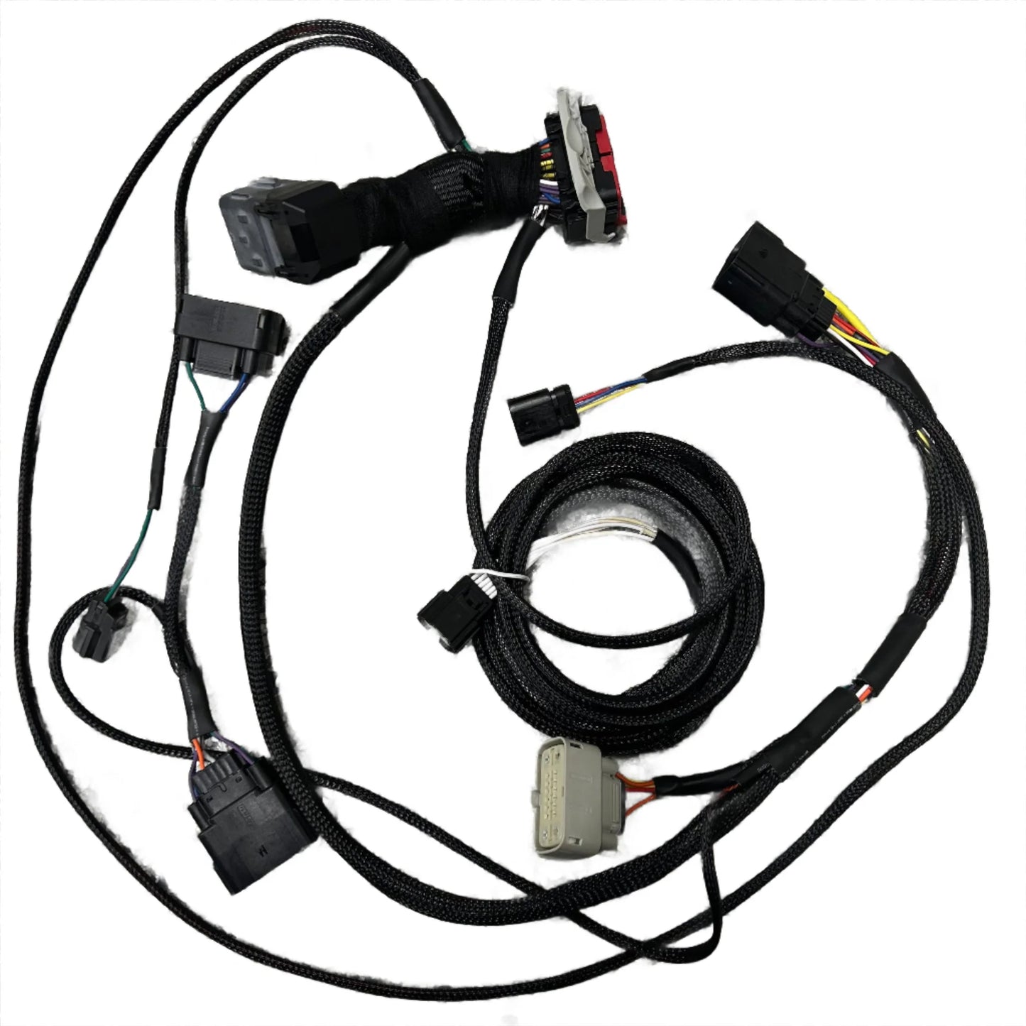 2010 Mustang to Coyote Swap Plug and Play Swap Harness (Gen 1 ONLY) 11-14