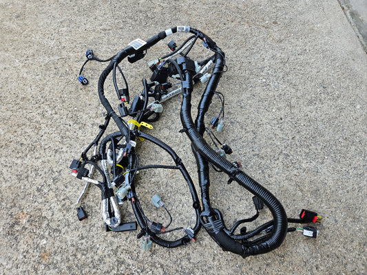 2015 to 2017 Ford Mustang GT Gen 2 Engine/Trans Harness