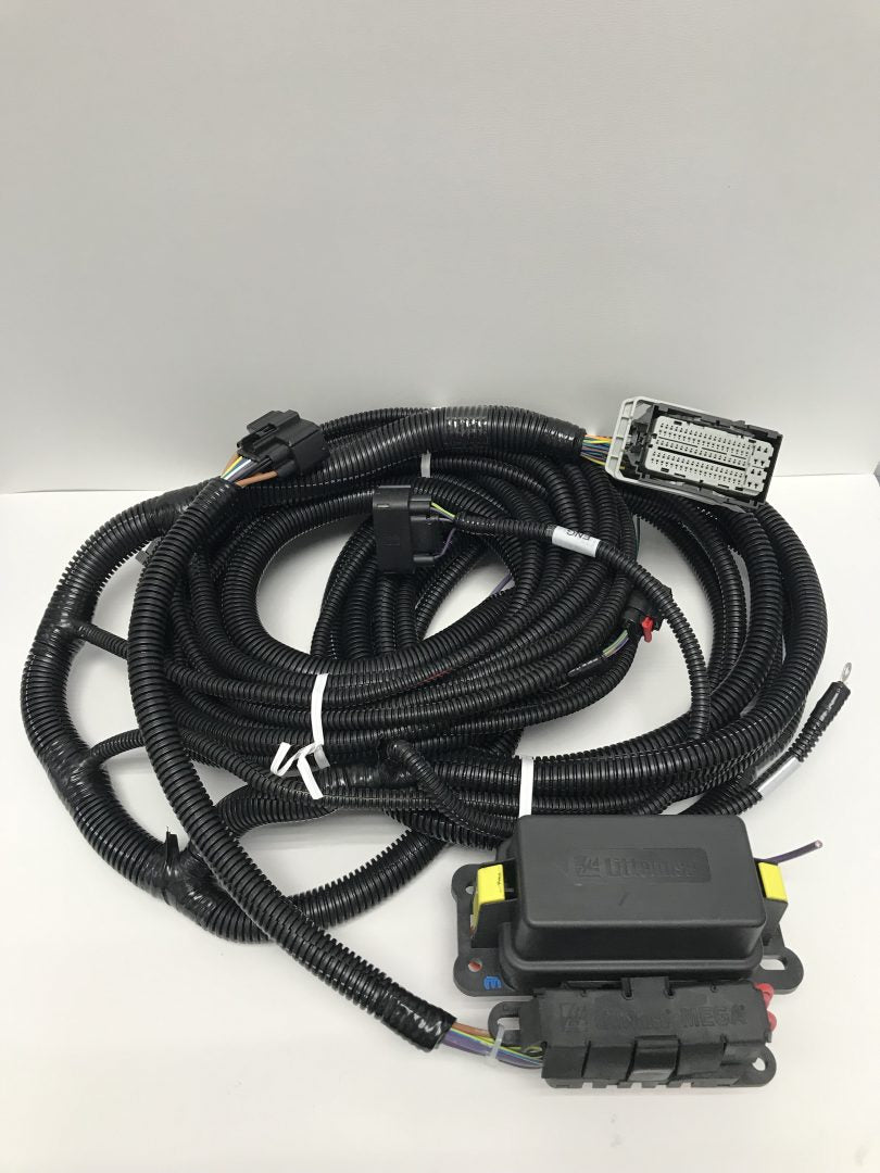 Gen 2 Coyote Body Harness for ALL Transmissions  2015-17 5.0L F150/Mustang